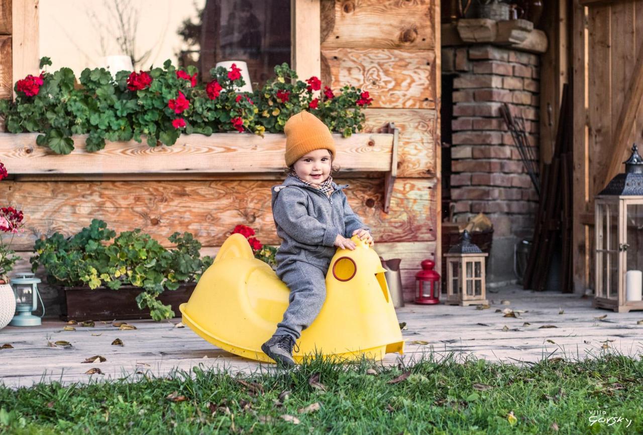 Luxury Chalet Villa Gorsky Hanco & Janso Poronin Kültér fotó
